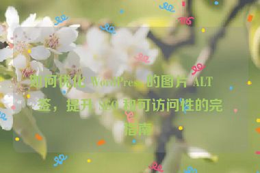 如何優(yōu)化 WordPress 的圖片 ALT 標簽，提升 SEO 和可訪問性的完整指南