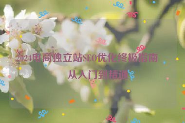 2024電商獨(dú)立站SEO優(yōu)化終極指南，從入門到精通