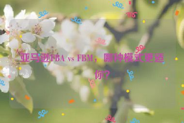 亞馬遜FBA vs FBM，哪種模式更適合你？