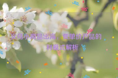 義烏小商品出海，低單價產(chǎn)品的盈利模式解析