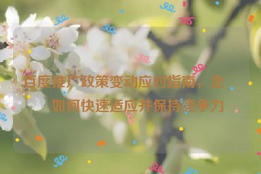 百度推廣政策變動應(yīng)對指南，企業(yè)如何快速適應(yīng)并保持競爭力