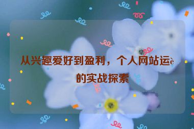 從興趣愛好到盈利，個人網(wǎng)站運(yùn)營的實(shí)戰(zhàn)探索