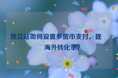 獨立站如何設(shè)置多貨幣支付，提升海外轉(zhuǎn)化率？