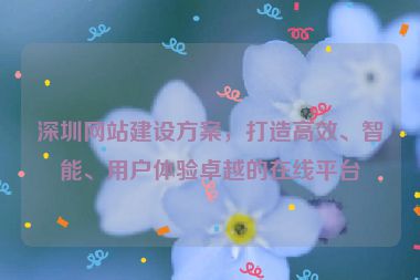 深圳網(wǎng)站建設(shè)方案，打造高效、智能、用戶體驗(yàn)卓越的在線平臺(tái)