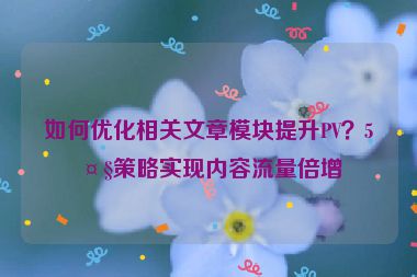 如何優(yōu)化相關(guān)文章模塊提升PV？5大策略實現(xiàn)內(nèi)容流量倍增