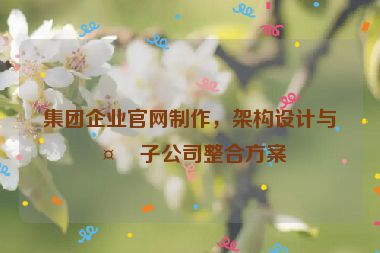集團(tuán)企業(yè)官網(wǎng)制作，架構(gòu)設(shè)計(jì)與多子公司整合方案
