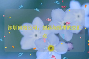 深圳網(wǎng)站公司，創(chuàng)新與技術(shù)的交匯點(diǎn)