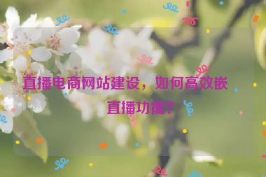 直播電商網(wǎng)站建設(shè)，如何高效嵌入直播功能？