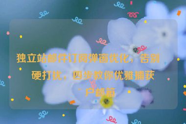 獨(dú)立站郵件訂閱彈窗優(yōu)化，告別生硬打擾，四步教你優(yōu)雅捕獲用戶郵箱