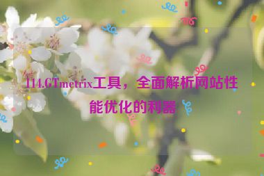 114.GTmetrix工具，全面解析網(wǎng)站性能優(yōu)化的利器