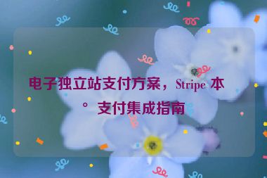 電子獨(dú)立站支付方案，Stripe 本地支付集成指南