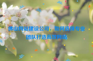 佛山網(wǎng)站建設(shè)公司，如何選擇專業(yè)團(tuán)隊(duì)打造高效網(wǎng)站
