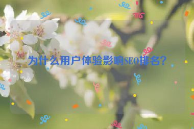 為什么用戶體驗(yàn)影響SEO排名？
