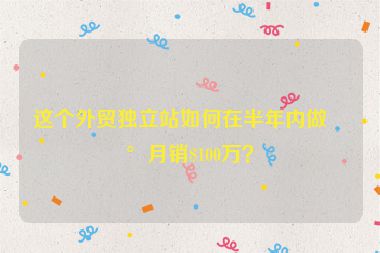 這個外貿獨立站如何在半年內做到月銷$100萬？