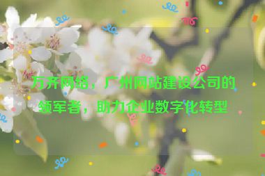 萬(wàn)齊網(wǎng)絡(luò)，廣州網(wǎng)站建設(shè)公司的領(lǐng)軍者，助力企業(yè)數(shù)字化轉(zhuǎn)型