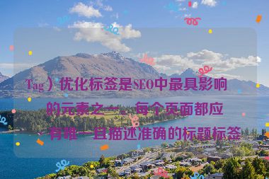 Tag）優(yōu)化標簽是SEO中最具影響力的元素之一。每個頁面都應具有唯一且描述準確的標題標簽