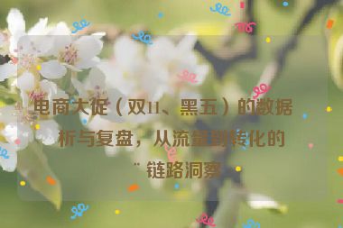 電商大促（雙11、黑五）的數(shù)據(jù)分析與復(fù)盤，從流量到轉(zhuǎn)化的全鏈路洞察