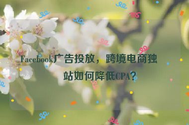 Facebook廣告投放，跨境電商獨立站如何降低CPA？