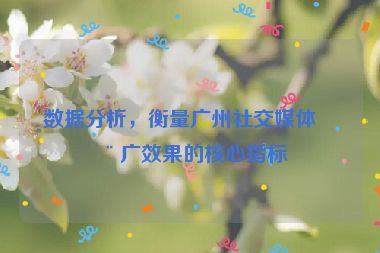 數(shù)據(jù)分析，衡量廣州社交媒體推廣效果的核心指標(biāo)