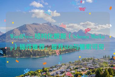 WordPress 結(jié)構(gòu)化數(shù)據(jù)（Schema Markup）插件推薦，提升SEO與搜索可見性