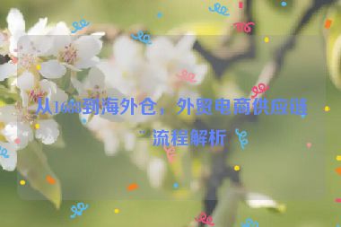 從1688到海外倉，外貿(mào)電商供應(yīng)鏈全流程解析