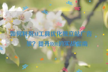 如何利用AI工具優(yōu)化獨(dú)立站廣告投放？提升ROI的實(shí)戰(zhàn)指南