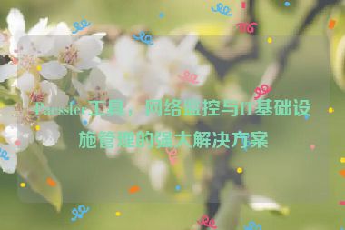 Paessler工具，網(wǎng)絡(luò)監(jiān)控與IT基礎(chǔ)設(shè)施管理的強大解決方案