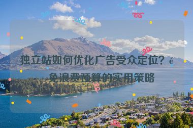 獨(dú)立站如何優(yōu)化廣告受眾定位？避免浪費(fèi)預(yù)算的實(shí)用策略