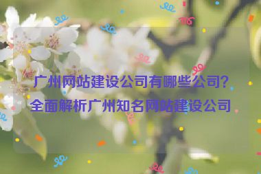 廣州網(wǎng)站建設(shè)公司有哪些公司？全面解析廣州知名網(wǎng)站建設(shè)公司