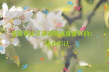 百度競價關鍵詞質量度提升的5個核心方法