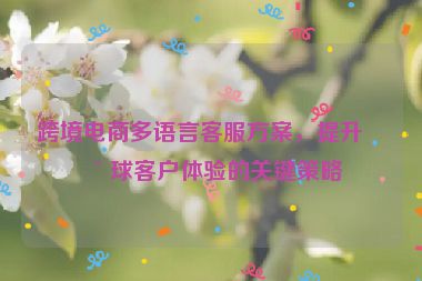 跨境電商多語言客服方案，提升全球客戶體驗的關(guān)鍵策略