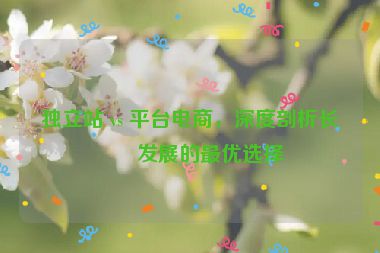 獨(dú)立站 vs 平臺(tái)電商，深度剖析長(zhǎng)期發(fā)展的最優(yōu)選擇