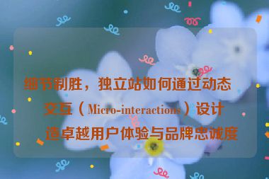 細(xì)節(jié)制勝，獨(dú)立站如何通過(guò)動(dòng)態(tài)微交互（Micro-interactions）設(shè)計(jì)打造卓越用戶體驗(yàn)與品牌忠誠(chéng)度