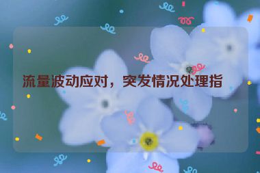 流量波動應(yīng)對，突發(fā)情況處理指南