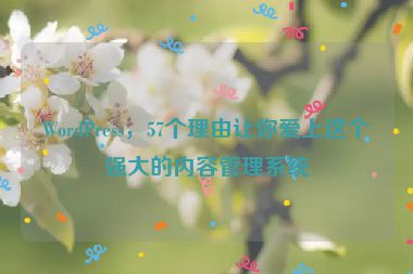 WordPress，57個(gè)理由讓你愛上這個(gè)強(qiáng)大的內(nèi)容管理系統(tǒng)