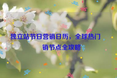 獨(dú)立站節(jié)日營(yíng)銷日歷，全球熱門促銷節(jié)點(diǎn)全攻略