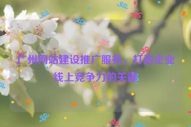 廣州網(wǎng)站建設推廣服務，打造企業(yè)線上競爭力的關鍵