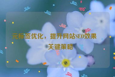 元標(biāo)簽優(yōu)化，提升網(wǎng)站SEO效果的關(guān)鍵策略