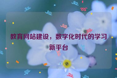 教育網(wǎng)站建設(shè)，數(shù)字化時代的學(xué)習(xí)新平臺