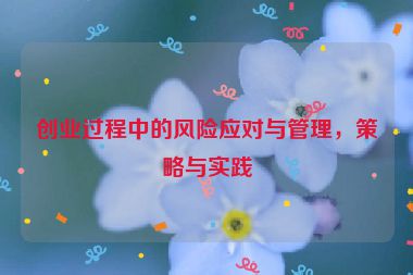 創(chuàng)業(yè)過程中的風(fēng)險應(yīng)對與管理，策略與實踐