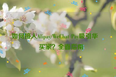如何接入Alipay/WeChat Pay吸引華人買家？全面指南