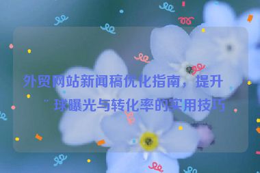 外貿(mào)網(wǎng)站新聞稿優(yōu)化指南，提升全球曝光與轉(zhuǎn)化率的實用技巧