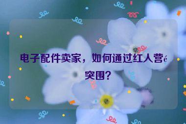 電子配件賣家，如何通過紅人營銷突圍？