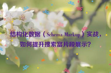 結(jié)構(gòu)化數(shù)據(jù)（Schema Markup）實(shí)戰(zhàn)，如何提升搜索富片段展示？