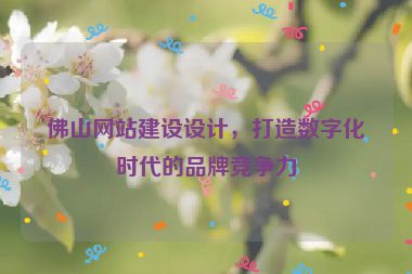 佛山網(wǎng)站建設(shè)設(shè)計(jì)，打造數(shù)字化時(shí)代的品牌競(jìng)爭(zhēng)力
