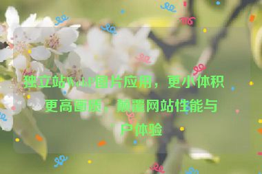 獨(dú)立站W(wǎng)ebP圖片應(yīng)用，更小體積，更高畫質(zhì)，顛覆網(wǎng)站性能與用戶體驗(yàn)