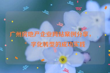廣州房地產(chǎn)企業(yè)網(wǎng)站案例分享，數(shù)字化轉型的成功實踐