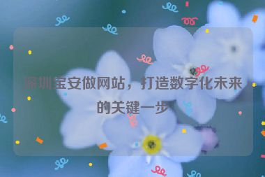 深圳寶安做網(wǎng)站，打造數(shù)字化未來(lái)的關(guān)鍵一步