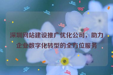 深圳網(wǎng)站建設(shè)推廣優(yōu)化公司，助力企業(yè)數(shù)字化轉(zhuǎn)型的全方位服務(wù)