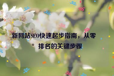 新網(wǎng)站SEO快速起步指南，從零到排名的關(guān)鍵步驟